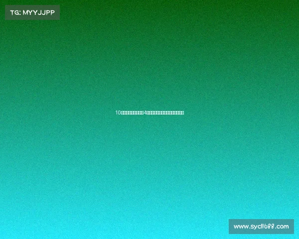 10万出头轿车对决!这4台新车实力超猛,但谁更值得买?